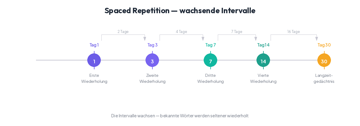 Spaced Repetition Timeline: Wiederholungen an Tag 1, 3, 7, 14 und 30 mit wachsenden Intervallen